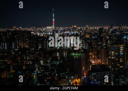 Cielo albero visibile dal Centro Civico di Bunkyo. Luogo di ripresa: Area metropolitana di Tokyo Foto Stock