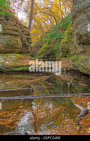 Quiet Stream e i colori silenziosi dell'autunno in Illinois Canyon nello Starved Rock state Park in Illinois Foto Stock