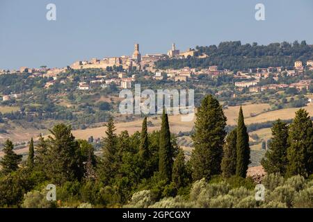 Oliveto e Volterra in Toscana Foto Stock