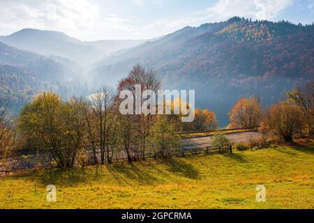 paesaggio autunnale in montagna. bella mattina nebbia. foreste in autunno fogliame. bel tempo soleggiato Foto Stock