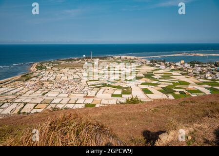 Alto panorama dal monte Thoi Loi, villaggio di pescatori e campi d'aglio a Ly Son Island, provincia di Quang Ngai, Viet Nam Foto Stock