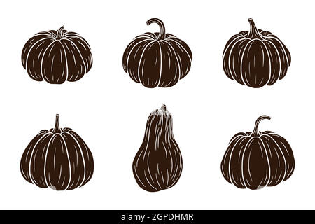 Set di silhouette di zucche. Collezione di zucche fresche mature per adesivi, stampe, inviti, menu e biglietti d'auguri design e decorazione. Vettore Premium Illustrazione Vettoriale