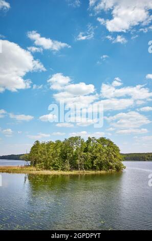 Piccola isola nel lago di Osiek, in Polonia. Foto Stock