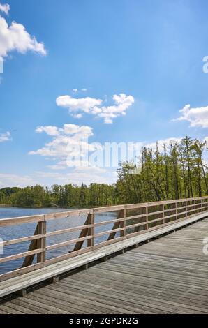 Ponte di legno sul lago Osiek, Polonia. Foto Stock