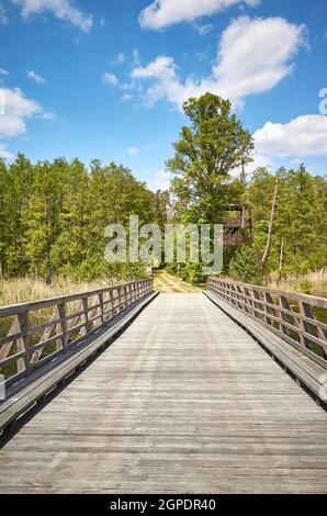 Ponte di legno sul lago Osiek, Polonia. Foto Stock