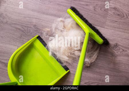 Spazzola e sessola spazzano la pelliccia dell'animale da vicino Foto Stock