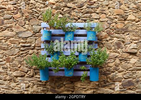 Vaso Beautifuful riciclaggio su un muro di pietra Foto Stock