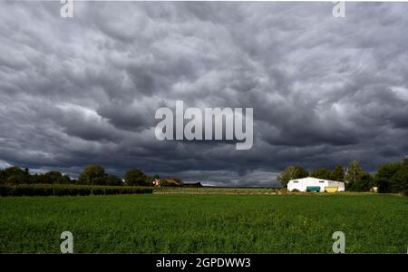 Nuvole tempestose su campi verdi Foto Stock