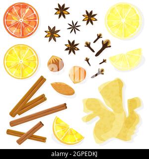 Set di spezie, noci e frutta. Ingredienti di VIN brulé. Illustrazione vettoriale piatta. Illustrazione Vettoriale