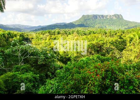 Il piano da tavolo piatto El Yunque montagna, Cuba Foto Stock