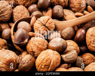 Sfondo con diversi tipi di noci noci kernels ,macadamia,nocciola e mandorla con il cucchiaio di legno. Messa a fuoco selettiva la profondità di campo. Foto Stock