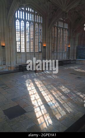 Bodleian Library Divinity School, Oxford Foto Stock