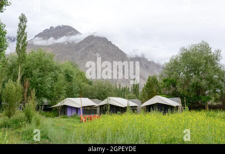 Tented campi del turismo in Ladakh, India. Ladakh è il più grande altopiano dello stato di Jammu e Kashmir con gran parte di essa essendo oltre 3000m. Foto Stock