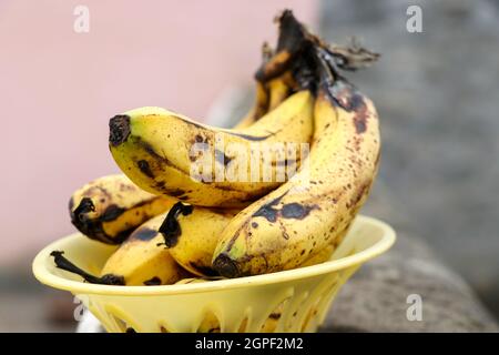 Giallo maturo banane frutta, mazzetto di banane mature con macchie scure Foto Stock