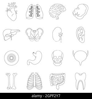 Gli organi umani set di icone di stile di contorno Illustrazione Vettoriale