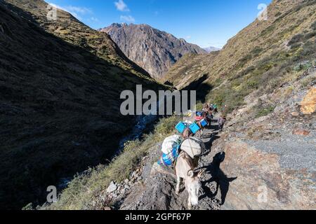Escursioni lungo la Cordillera Huayhuash, Perù Foto Stock