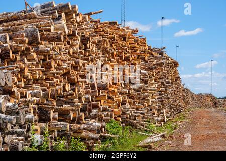 Legname in una zona industriale Foto Stock