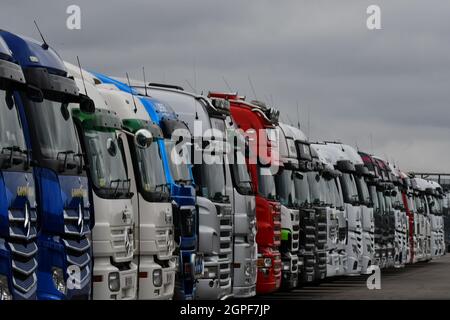 Una fila di autocarri, camion, di diversi colori, colori, allineati in un parcheggio asfaltato nel Regno Unito Foto Stock