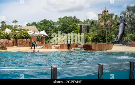 Orlando, Florida. Settembre 28, 2021. Spettacolo Dolphin Adventures al Seaworld (3) Foto Stock