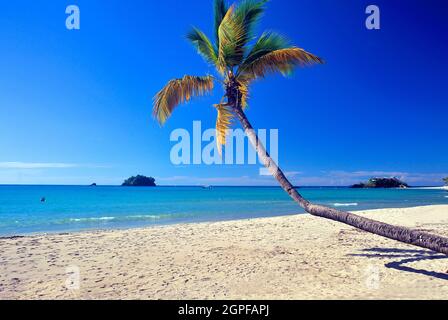 MADAGASCAR, NOSY BE, SPIAGGIA DI ANDILANA Foto Stock