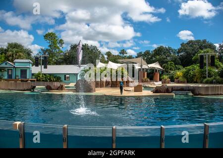 Orlando, Florida. Settembre 28, 2021. Spettacolo Dolphin Adventures al Seaworld (5) Foto Stock