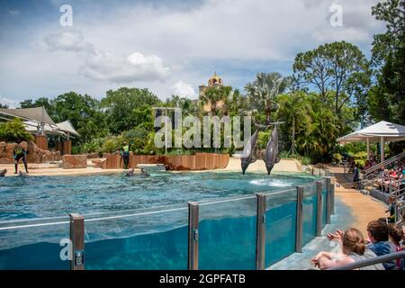 Orlando, Florida. Settembre 28, 2021. Spettacolo Dolphin Adventures al Seaworld (8) Foto Stock