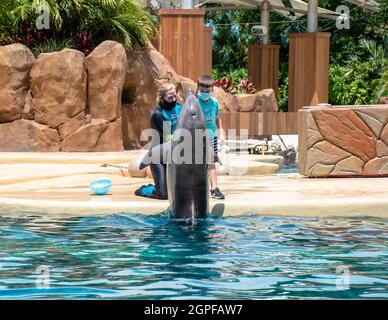 Orlando, Florida. Settembre 28, 2021. Spettacolo Dolphin Adventures al Seaworld (10) Foto Stock