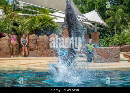 Orlando, Florida. Settembre 28, 2021. Spettacolo Dolphin Adventures al Seaworld (12) Foto Stock