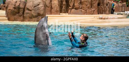 Orlando, Florida. Settembre 28, 2021. Spettacolo Dolphin Adventures al Seaworld (17) Foto Stock