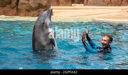 Orlando, Florida. Settembre 28, 2021. Spettacolo Dolphin Adventures al Seaworld (18) Foto Stock