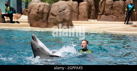 Orlando, Florida. Settembre 28, 2021. Spettacolo Dolphin Adventures al Seaworld (19) Foto Stock