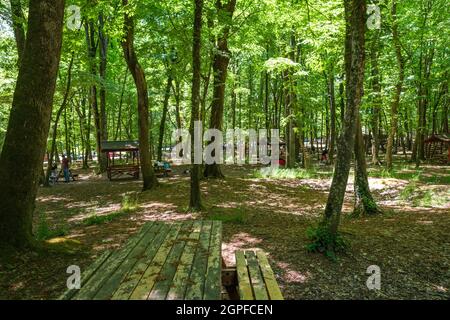 Sariyer, Istanbul, Turchia - 05.17.2021: Un sacco di persone turche hanno pic-nic con amici e famiglie nella foresta di Belgrado con un sacco di alberi alti in s. Foto Stock