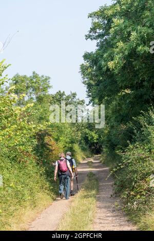 Attiva coppia senior che cammina lungo una corsia di campagna del Norfolk. Parte della passeggiata circolare Snettisham. Foto Stock