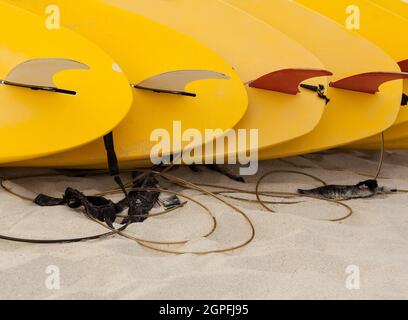 Tavole da surf poste sulla spiaggia. Foto Stock