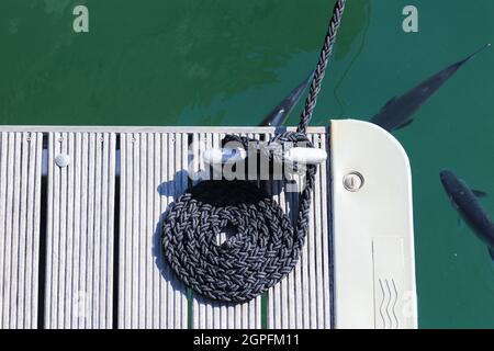 Corda arricciata con vortice Boat Bow Line Nautical Tie Down Foto Stock