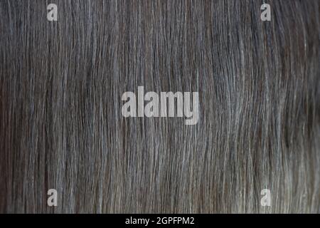I capelli biondi scuri si avvicinano per lo sfondo. Foto Stock