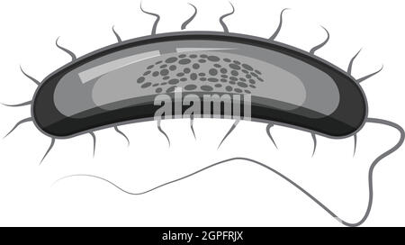 I batteri o i virus icona, grigio in stile monocromatico Illustrazione Vettoriale