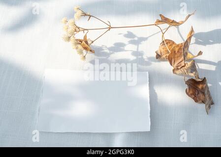 Inverno o autunno matrimonio ancora vita scena. Mockup di cancelleria di compleanno. Biglietto di auguri vuoto, biglietto di invito e fiori secchi alla luce del sole. Ombre morbide. Foto Stock