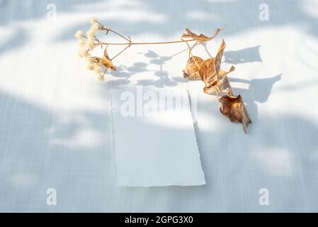 Inverno o autunno matrimonio ancora vita scena. Mockup di cancelleria di compleanno. Biglietto di auguri vuoto, biglietto di invito e fiori secchi alla luce del sole. Ombre morbide. Foto Stock