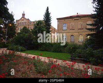 Krásná Lípa (distretto di Děčín, regione di Ústí nad Labem, Repubblica Ceca) Foto Stock
