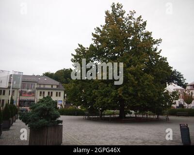 Krásná Lípa (distretto di Děčín, regione di Ústí nad Labem, Repubblica Ceca) Foto Stock