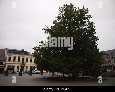 Krásná Lípa (distretto di Děčín, regione di Ústí nad Labem, Repubblica Ceca) Foto Stock