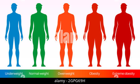 Poster vettore indice massa corporea. Uomini adulti con diverse dimensioni del peso corporeo, dal sottopeso al sovrappeso. Illustrazione Vettoriale