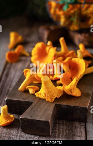 Funghi chanterelle in una ciotola retrò di ferro e muschio di foresta su un vecchio sfondo di legno. Bock up. Vista dall'alto. Foto Stock