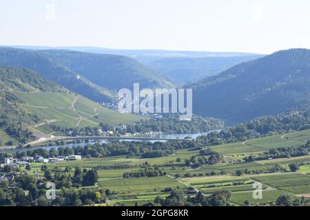 Vista sulla valle della Mosella con il villaggio Wolf vicino Traben-Trarbach Foto Stock