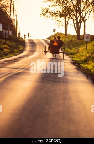 Buggy Amish con bambini che camminano lungo la strada a Lancaster, Pennsylvania Foto Stock