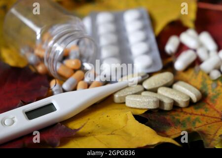 Pillole e termometro digitale su foglie di acero giallo e rosso, flacone di capsule e confezione blister di compresse. Concetto di antipiretico, vitamine Foto Stock