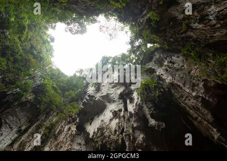 Formazioni rocciose carsiche coperte di vegetazione, dall'interno delle grotte di Batu, famoso luogo di pellegrinaggio a Gombak, a nord di Kuala Lumpur, Malesia Foto Stock