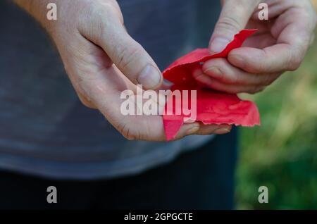 Un uomo adulto sta strappando un pezzo di carta rossa a parte. Mani holdin Foto Stock