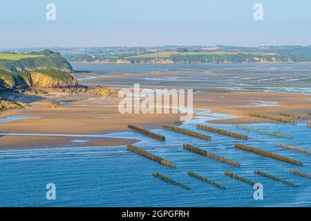 Francia, Cotes d'Armor, Saint-Cast-le-Guildo, allevamento di mussel nella baia di la Fresnaye lungo il sentiero GR 34 o sentiero doganale Foto Stock